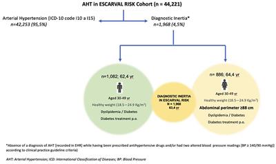 Characterizing Diagnostic Inertia in Arterial Hypertension With a Gender Perspective in Primary Care